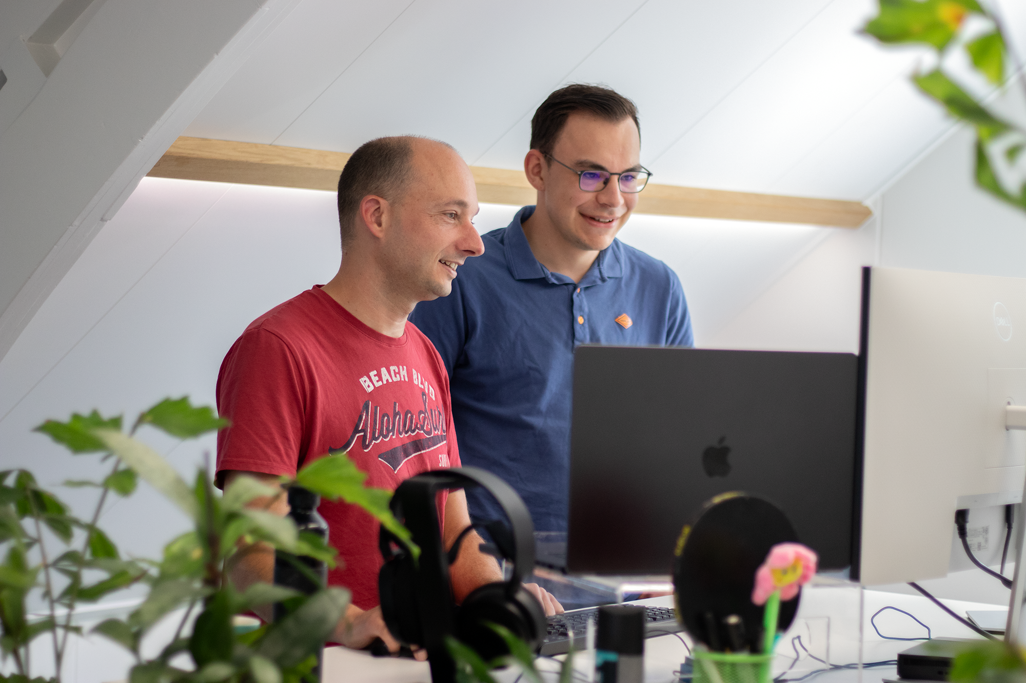 Development Nedbase