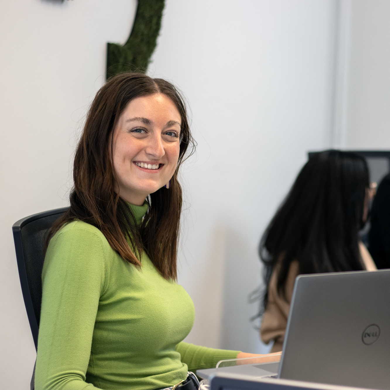 Ivy digital marketing