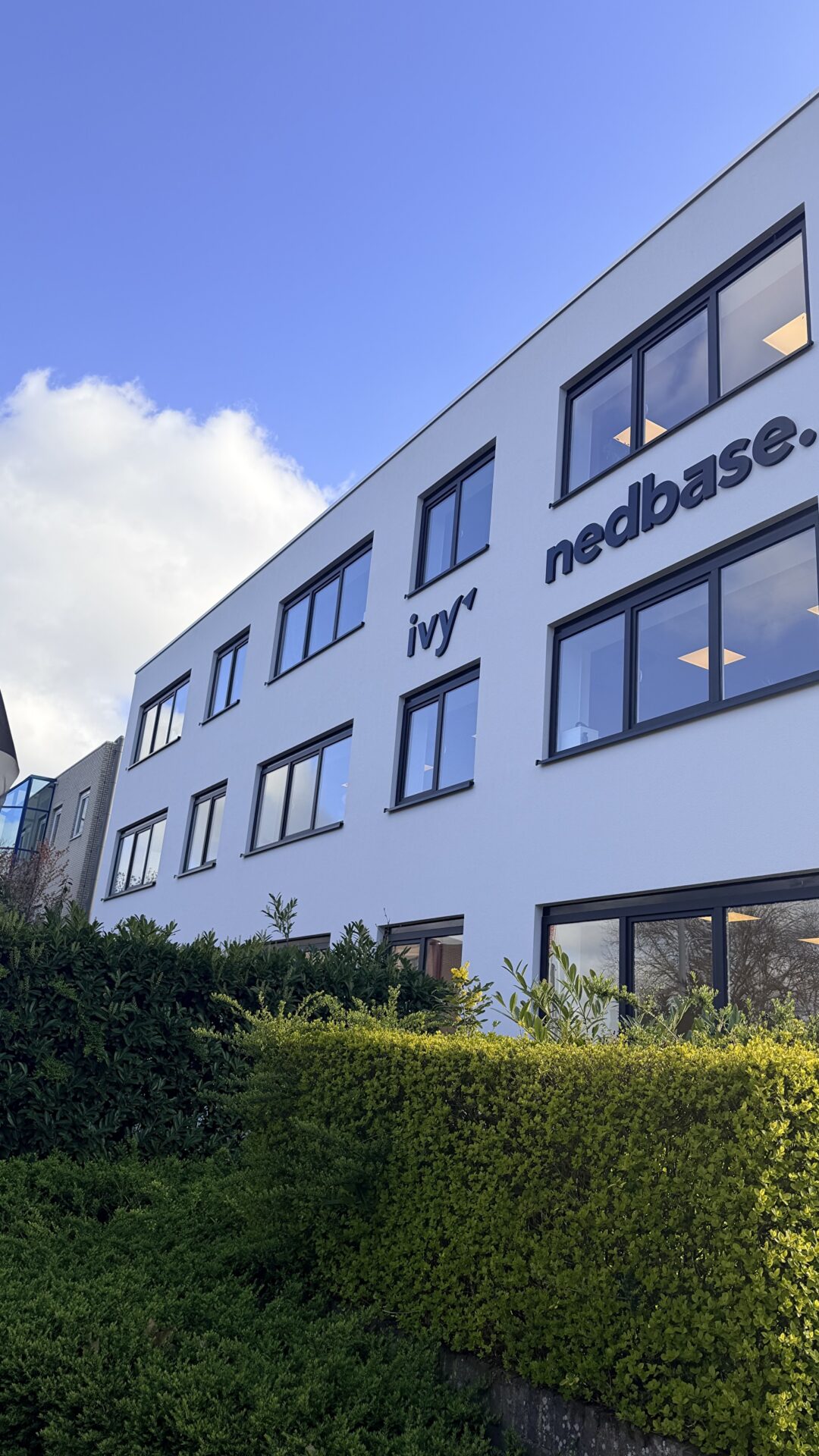 Nedbase Segeerssingel 8